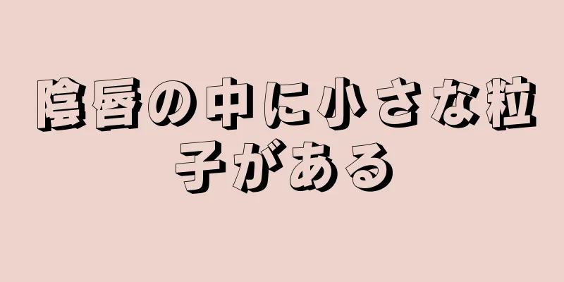 陰唇の中に小さな粒子がある