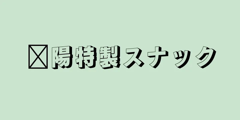 鄱陽特製スナック