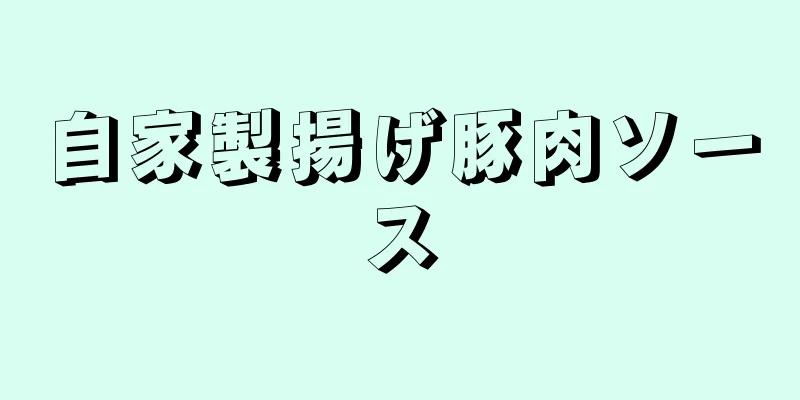 自家製揚げ豚肉ソース