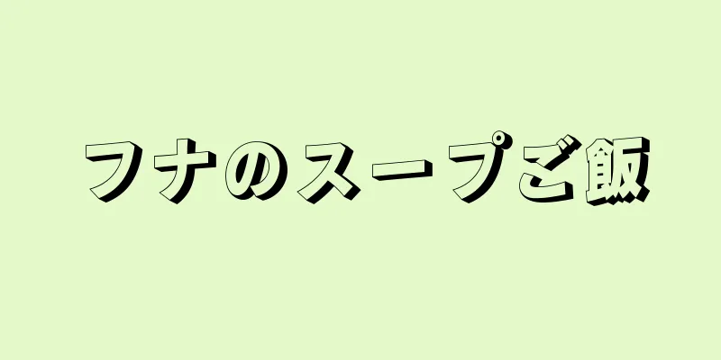 フナのスープご飯