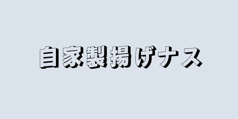 自家製揚げナス