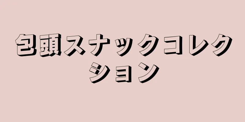 包頭スナックコレクション