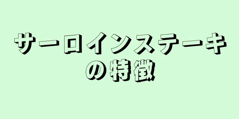 サーロインステーキの特徴