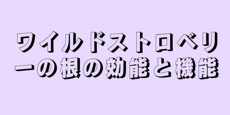 ワイルドストロベリーの根の効能と機能