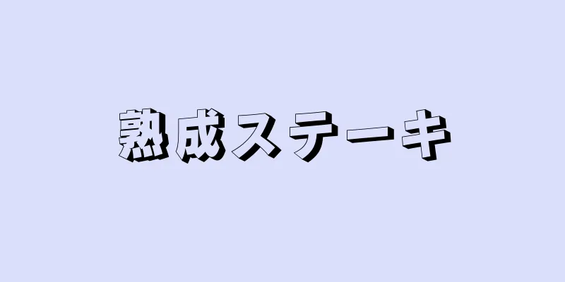 熟成ステーキ