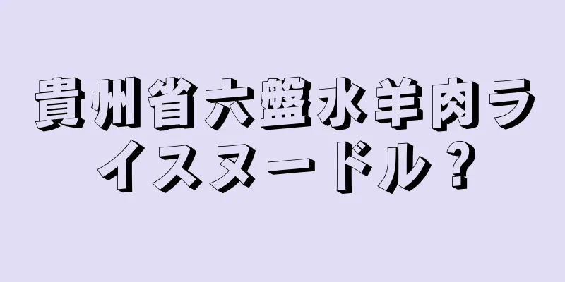 貴州省六盤水羊肉ライスヌードル？