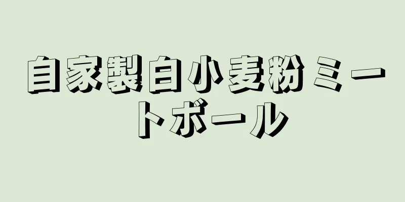 自家製白小麦粉ミートボール