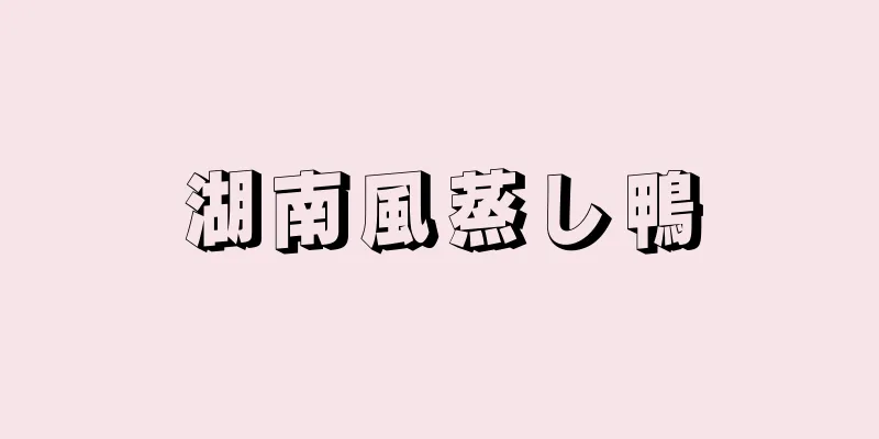 湖南風蒸し鴨