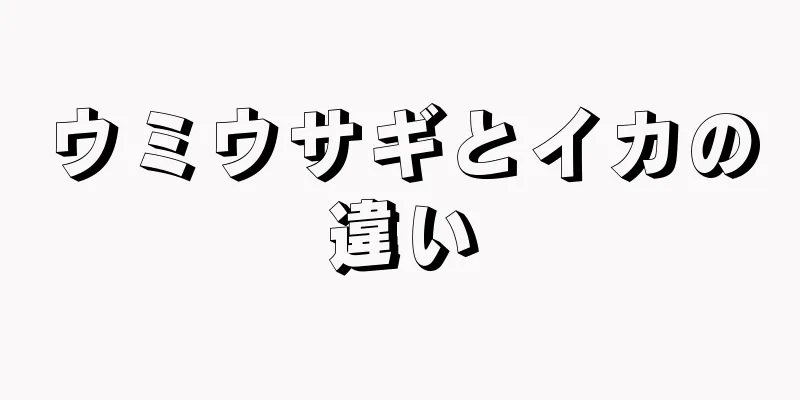 ウミウサギとイカの違い