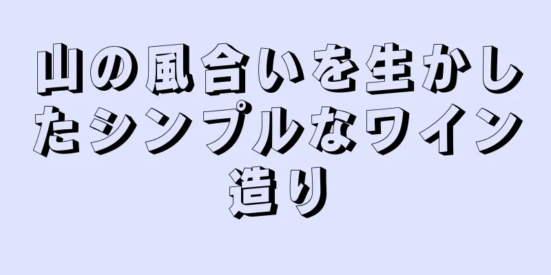 山の風合いを生かしたシンプルなワイン造り