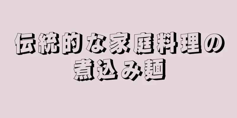 伝統的な家庭料理の煮込み麺
