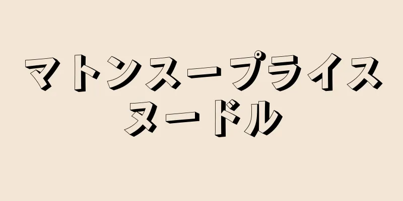 マトンスープライスヌードル