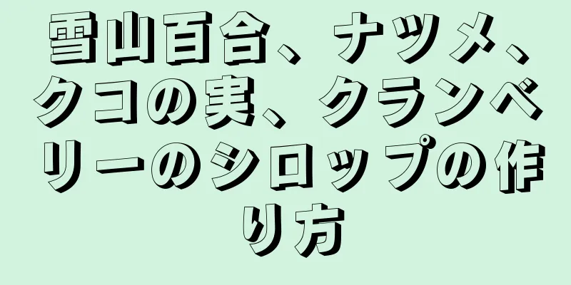 雪山百合、ナツメ、クコの実、クランベリーのシロップの作り方