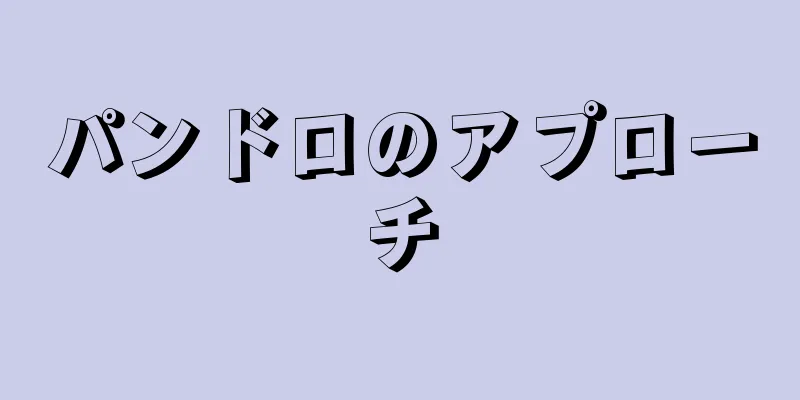 パンドロのアプローチ