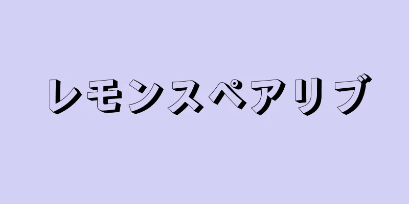 レモンスペアリブ