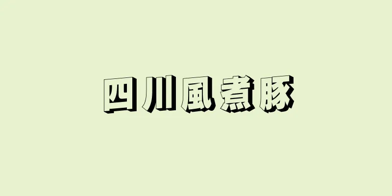 四川風煮豚