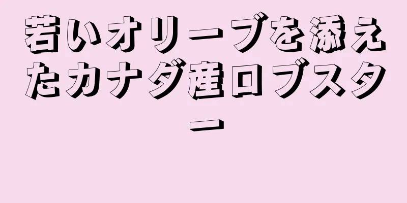 若いオリーブを添えたカナダ産ロブスター