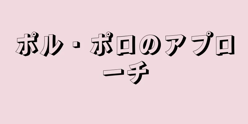 ポル・ポロのアプローチ