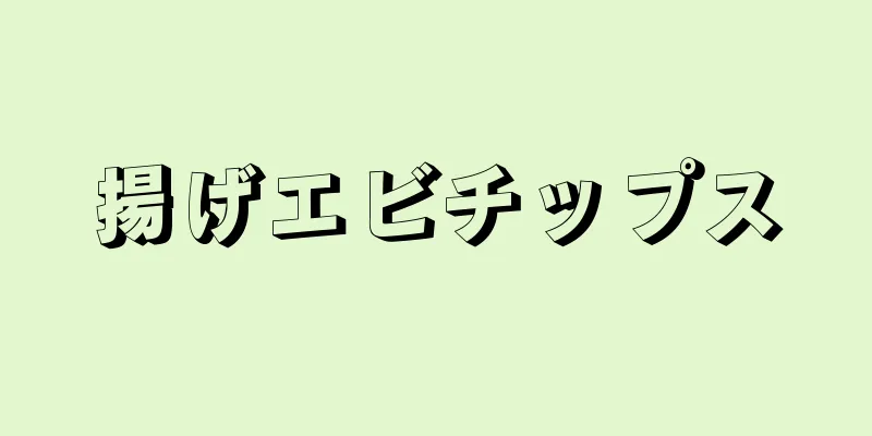 揚げエビチップス