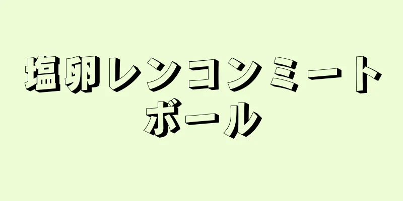 塩卵レンコンミートボール