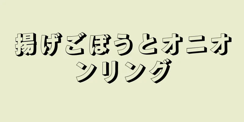揚げごぼうとオニオンリング