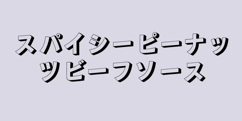 スパイシーピーナッツビーフソース