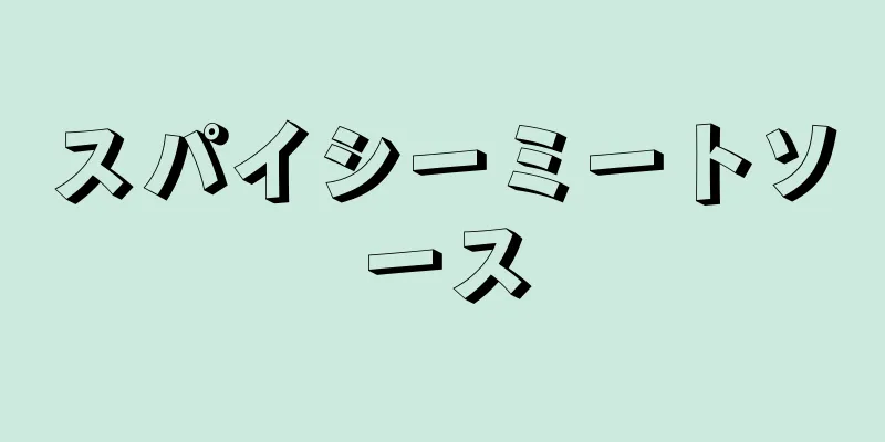 スパイシーミートソース