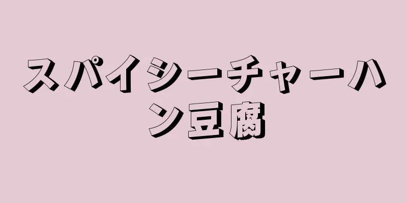 スパイシーチャーハン豆腐