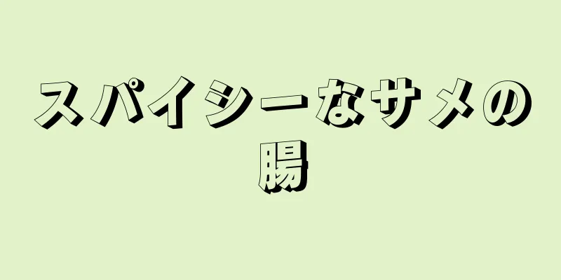 スパイシーなサメの腸