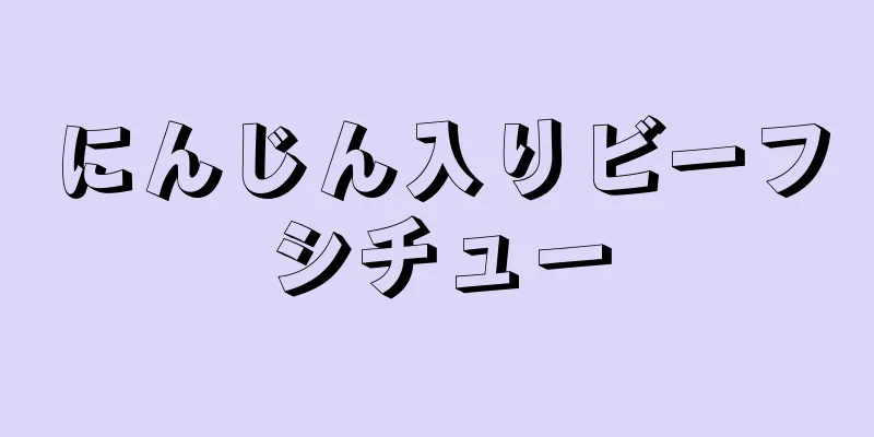 にんじん入りビーフシチュー
