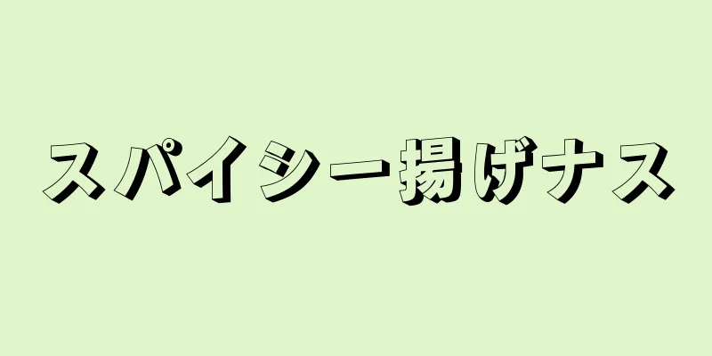 スパイシー揚げナス