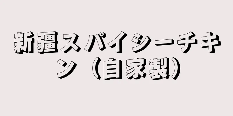 新疆スパイシーチキン（自家製）