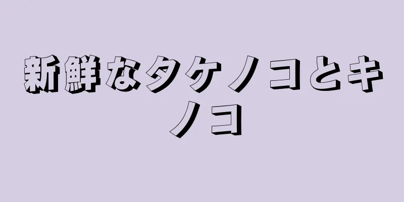 新鮮なタケノコとキノコ