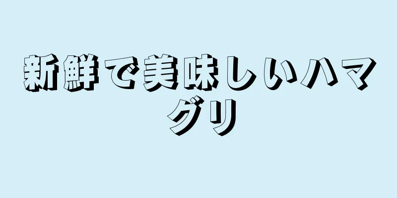 新鮮で美味しいハマグリ