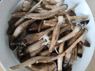 オリジナルフレーバーのライチマッシュルームを作る手順：4