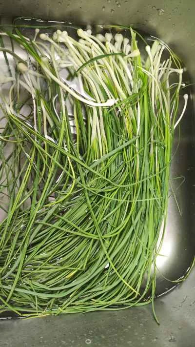 野生のネギを使った卵炒めの作り方：3