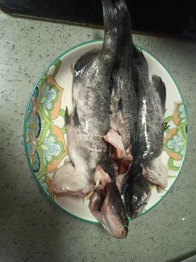 豆腐入り黄ナマズの煮込みの作り方：2