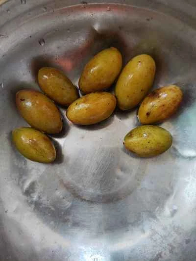 グリーンオリーブ入り豚すね肉の煮込みの作り方：1