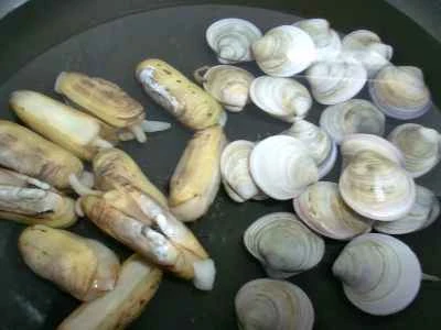 2種類の新鮮な材料を使ったセロリ炒めの作り方：5