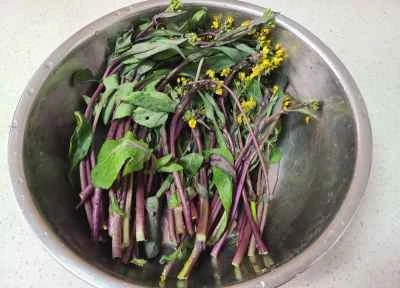 ハムと赤カラシナの炒め物の作り方：1