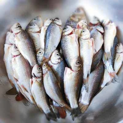 ニンニク風味のフナの卵の作り方：2