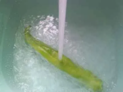 ピーマンとロブスター風味の枝豆炒めの作り方：3