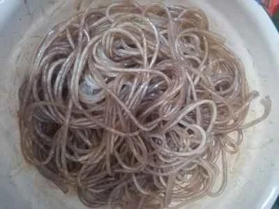 北東部のシチューを作る手順：1