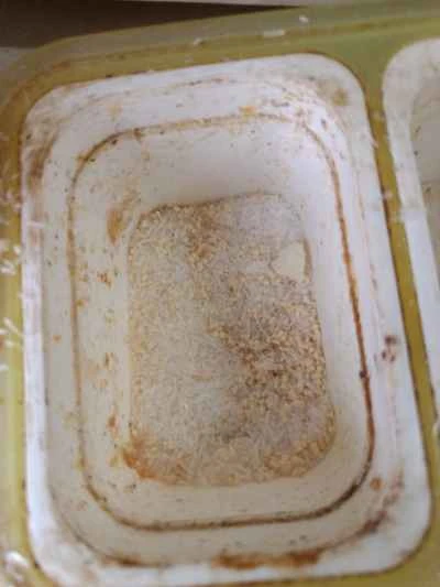 豚腸炒めの作り方：5