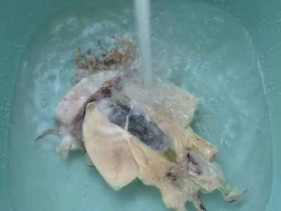 イカとセロリの炒め物の作り方：3