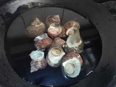 湯通ししたツブ貝の作り方：2
