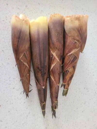 細切り豚肉とたけのこの炒め物の作り方：1