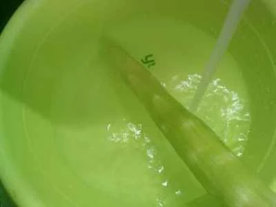 ロブスター風味のボールとレタス炒めの作り方：2