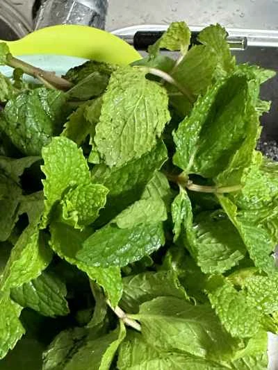 たけのこの炒め方の手順：2