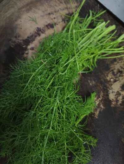 フェンネルとスクランブルエッグの作り方：1